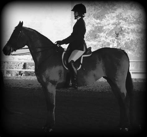 English Rider Waiting To Be Judge Photograph By Sheri Mcleroy Fine