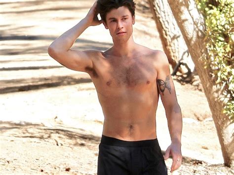 Shawn Mendes Shows Off Body On Shirtless Hike