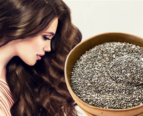 How to use chia seeds for weight loss: Hair Care Tips: Chia Seeds are Best For Shiny Long and ...
