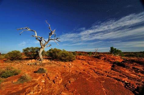 Wir waren 7 monte in australien. Australien Foto - Outback Landschaft - Bildergalerie ...