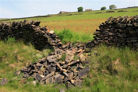 Collapsed Dry Stone Wall Stock Image Image