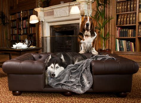 Luxury Dog Beds And Designer Dog Sofas As Seen On The