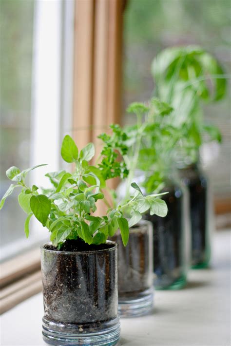 Best indoor herb garden kits for your kitchen. Creative Ideas for Growing Your Own Kitchen Herb Garden