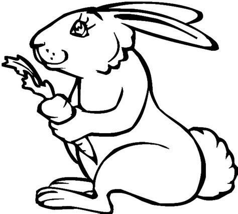 Rabbit Holding Carrot Coloring Pages | Best Place to Color