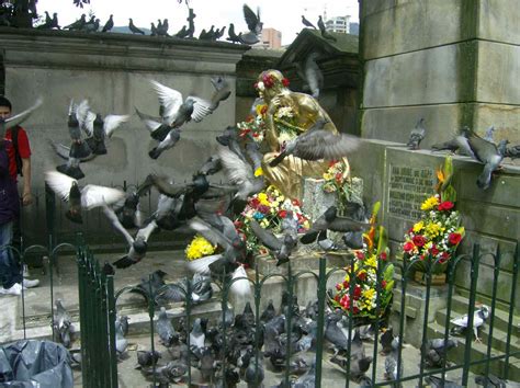 In 1967, andrés escobar was born in medellín, colombia. Mike's Bogota Blog: Bogotá's Beloved Pigeons