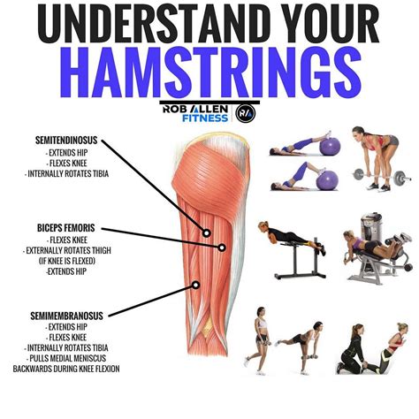 Will Exercises Build And Strengthen Glutes And Hamstrings Yes We