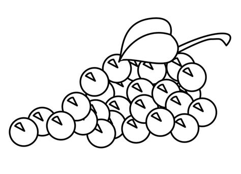 Check spelling or type a new query. √Gambar Mewarnai Buah Anggur Untuk TK dan Paud ...