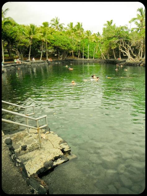One Of Hawaiis Last Remaining Freshwater Springs Is Hiding In Plain