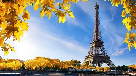 Paris Eiffel Tower And Trees With Yellow Leaves With Blue Sky And