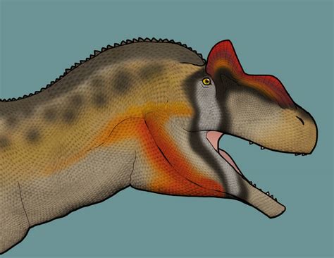 Allosaurus Fragilis Bust By Gorodjidahybrid On Deviantart
