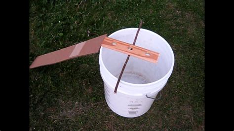 Will A Mouse Trap Work For Chipmunks at jamescmyerso blog