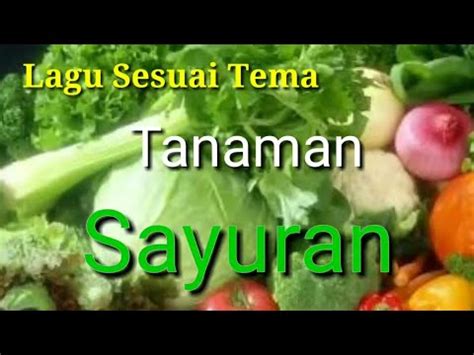 Karena pada postingan kali ini saya akan bagikan artikel materi yang berhubungan dengan kegiatan di sekolah tk / paud atau kelompok belajar yaitu tentang contoh naskah dongeng anak tk/paud. Pembelajaran Tema Tanaman Untuk Anak Paud - Cara Mengajarku