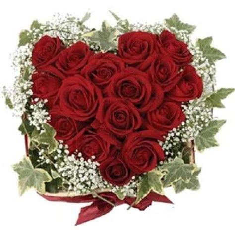 We did not find results for: 30 red roses heart shape arrangement - Myflowergift
