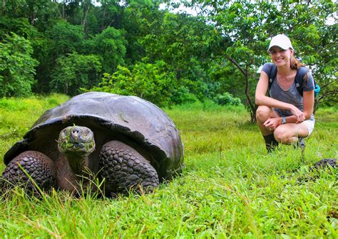 The galapagos islands are a popular tourist destination for travelers from all over the world. 12 pro-tips for visiting the Galápagos Islands you need to ...