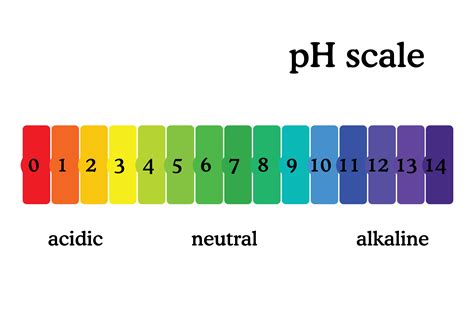 Color Scale Urine Hydration Chart Download Scientific Diagram Urine Color Chart And Meaning