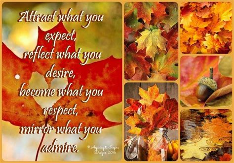 Fall Leaves With The Words Attract What You Expect Reflect What You