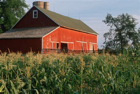 Corn Field In Front Of Red Barn Stock Photo Image Of Features