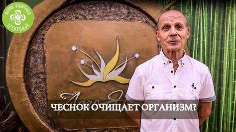 Диета которая чистит организм