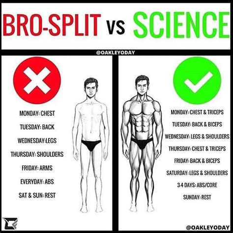 But this is true only for those who can recover well enough. #fitness #diet #gym #motivation | Workout splits, Weight ...