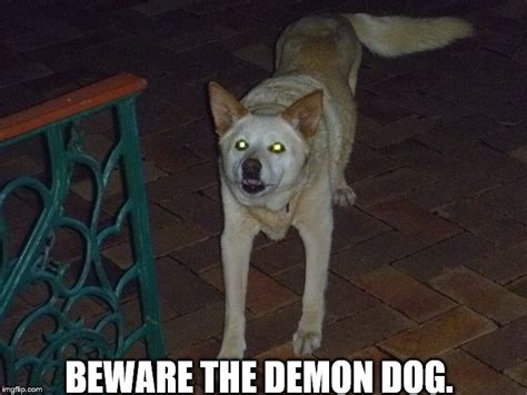 Demon Dog Imgflip