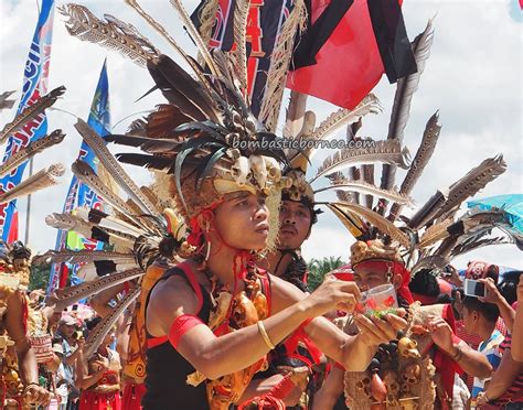 Dayak Tribal Event Indonesia Borneo Culture Tourism Bombastic Borneo