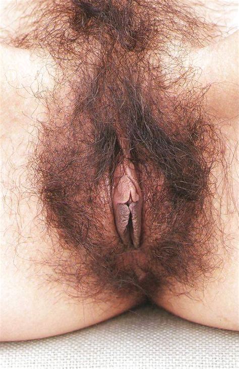Long Pussy Hair Hairy Pussy Sorted By Position Luscious