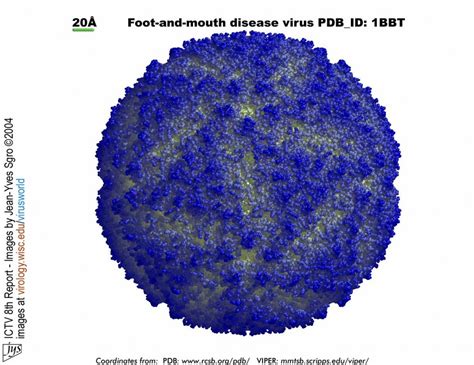 Microbe Illustrations Biology Of Humanworld Of Viruses