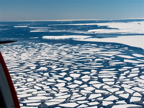 Melting Antarctic Ice Sheet Could Bring Half A Metre Of Sea Level Rise