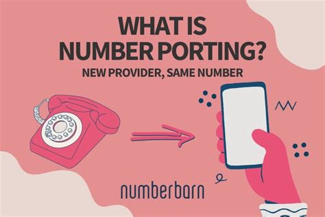 What Is Number Porting Everything You Need To Know Numberbarn Blog