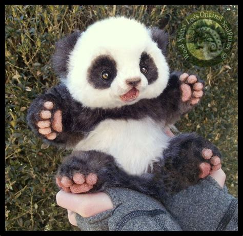 Fotos De Panda Fofinhos