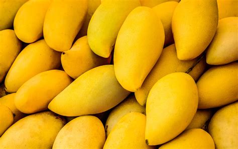 Mangoes In Pakistan Varieties Production And Export Zameen Blog