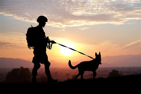 Silhouettes Of Soldier And Dog On Sunset Background Military Se