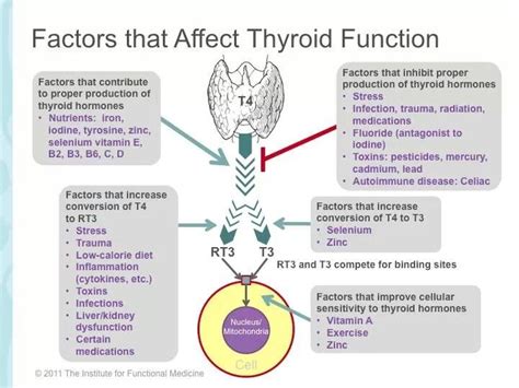 Factors That Affect Thyroid Function Thyroid Info Pinterest