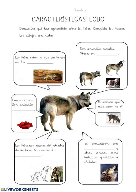 Resumen De 33 Artículos Que Comen Los Lobos Actualizado Recientemente