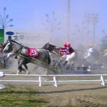 1:37 hiroko mcneil 33 879 просмотров. 『ばんえい競馬』by たま ｜帯広競馬場(ばんえい十勝)の ...