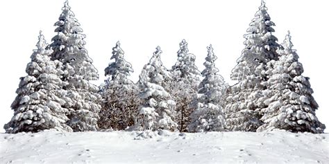 Snow Trees Transparent 1 By Dementiarunner On Deviantart