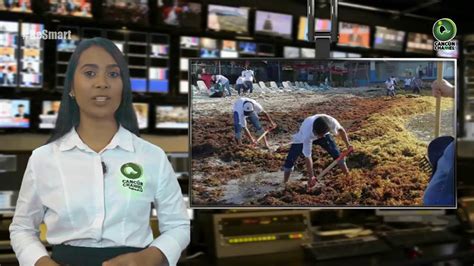 Sargazo Puede Ser Fertilizante Yucatecos Crean Compa A Youtube