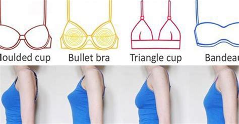 Different Bra Cup Size Chart