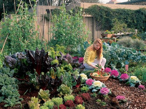 Free Plan Your Cool Season Vegetable Garden Sunset Magazine