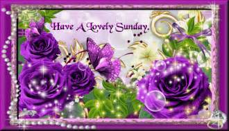 Have A Lovely Sunday Weekend Sunday Sunday Quotes Happy Sunday Sunday