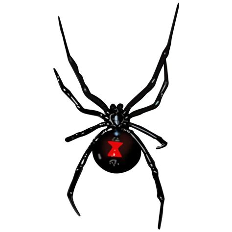 Black Widow Wall Decal Spider Vinyl Sticker Peel And Stick Etsy