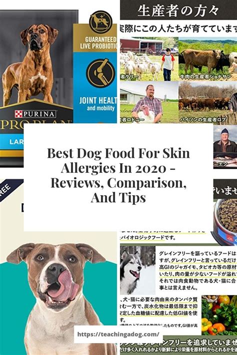Best dog food for skin allergies. Best Dog Food For Skin Allergies In 2020 - Reviews ...