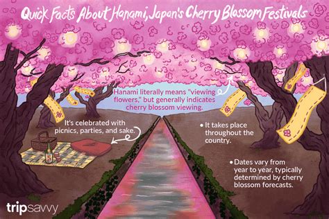 Everything To Know About Japans Cherry Blossom Festivals