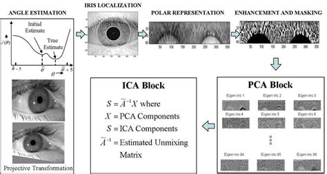 3 A Schematic Of A Non Ideal Iris Based Recognition System Which Deals