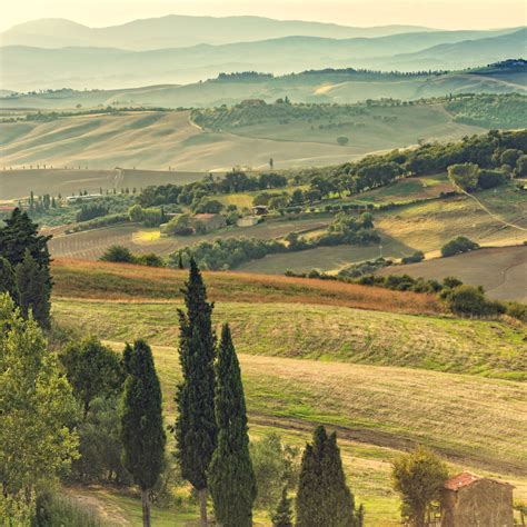Tuscan Landscape Food And Wine Tour In The Tuscan Countryside From