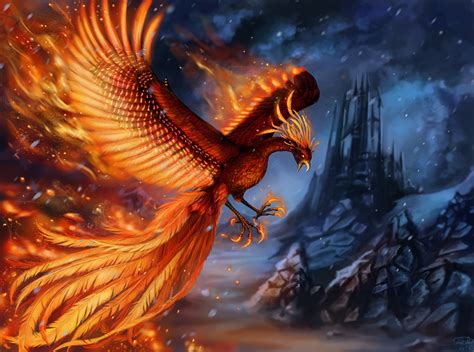 Fotos Da Fenix Verdadeira