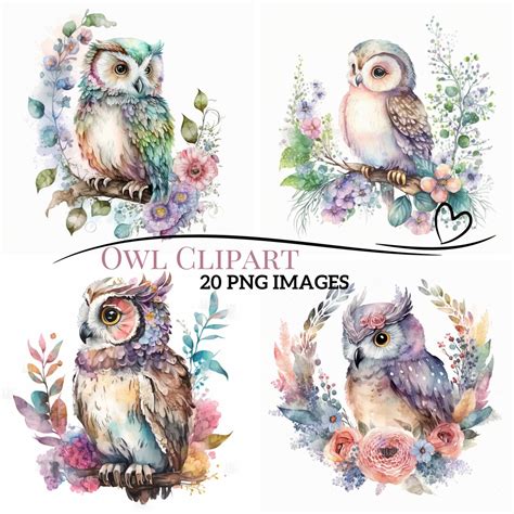 Woodland Owl Clipart Watercolor Clipart Of Owls Bundle Etsy
