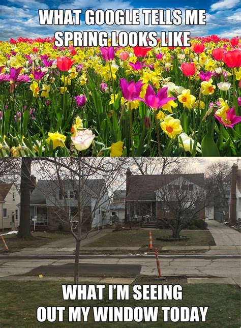 First Day Of Spring My Ass Meme Guy