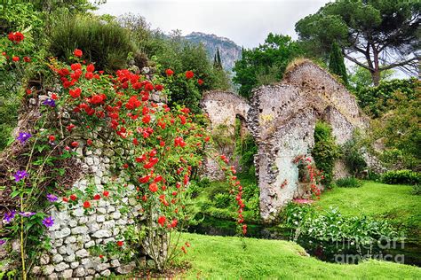 Garden With Historic Ruins And Blooming Flowers Photograph
