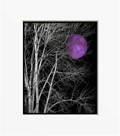 Black White Purple Wall Art Photography Tree Moon Bedroom